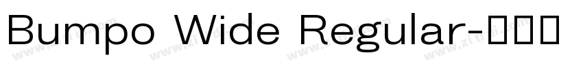 Bumpo Wide Regular字体转换